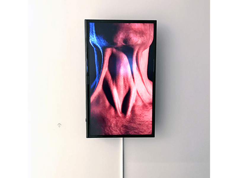 Wall-mounted screen showing the video pathos in the exhibition space