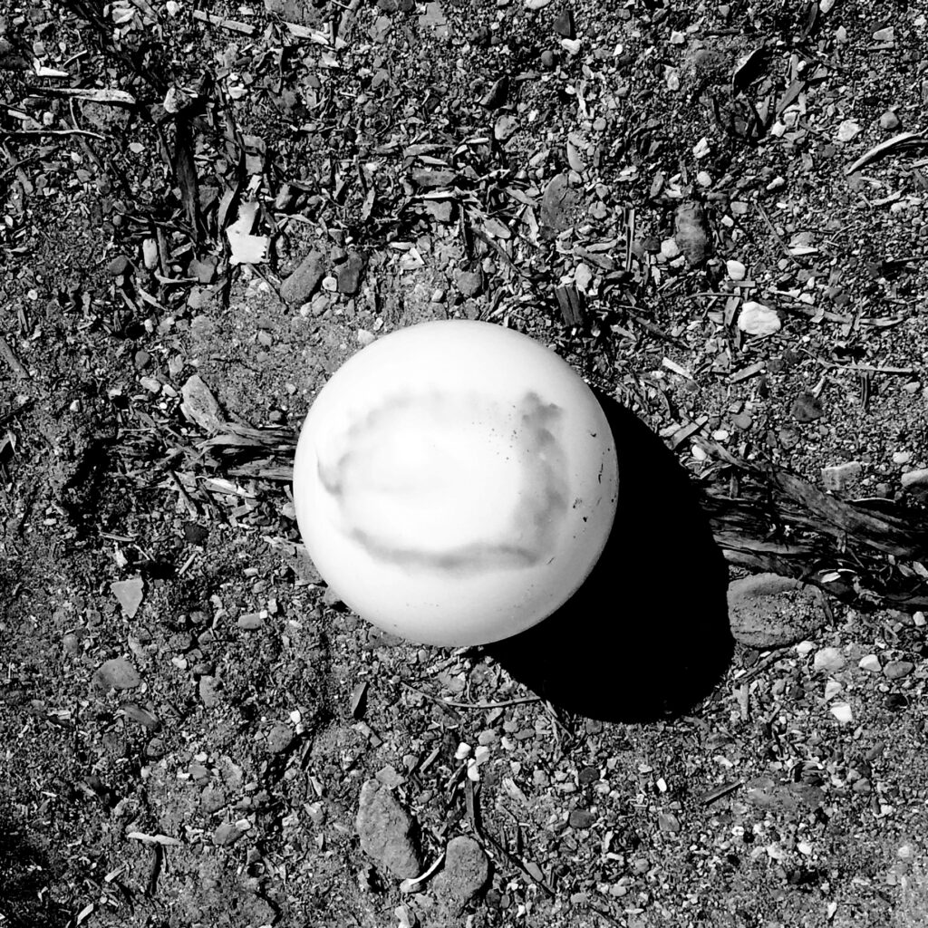 White stone sphere on dark soil, black and white photograph from Ol - An / Become - Moment