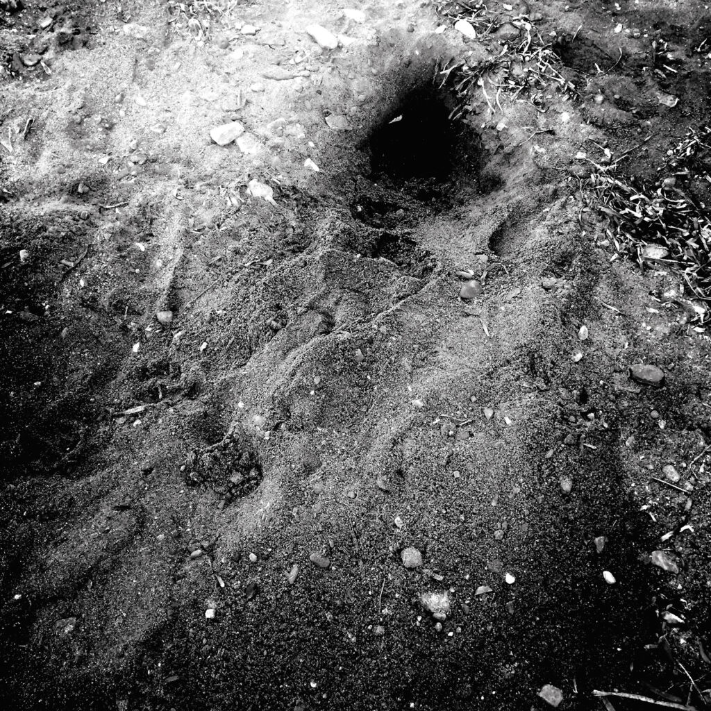 Black and white photograph of earth and a small hollow in the ground from Ol - An / Become - Moment