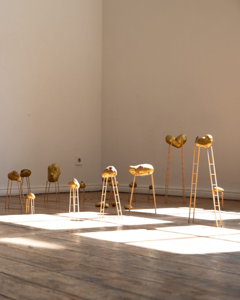Installation PA TA TA: gilded potato forms on thin ladder-like stands in a sunlit room